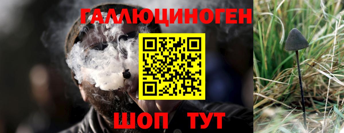 Котовск  Псилоцибиновые грибы ЛСД  Вход с VPN 